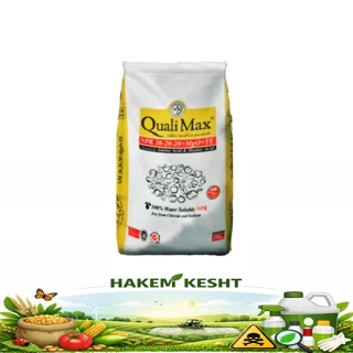 20-20-20 (سه 20) کوآلی مکس کیسه 25 کیلویی