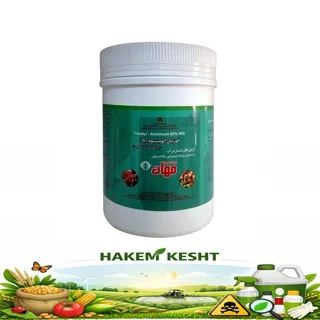 الیت فوزتیل 0.5Kg مهان