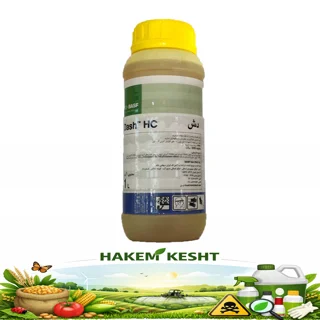 دش BASF آلمان