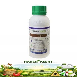 مچ 500 میلی لیتر سینجنتا