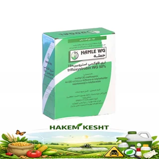 تری فلوکسی استروبین (حمله) 200g