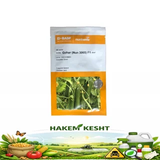 بذر خیار گوهر 500عددی