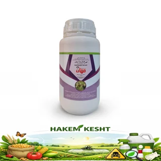 بی فنازیت 250cc