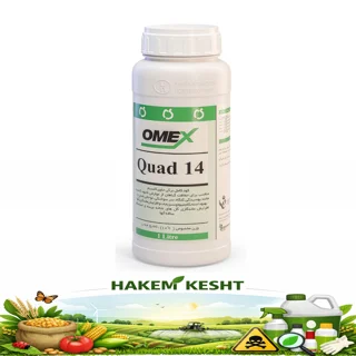 کواد 14 امکس 1 لیتری