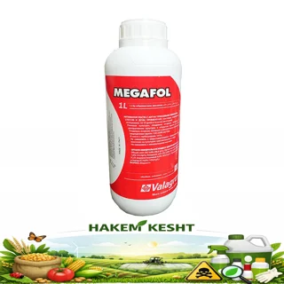 مگافول والگرو