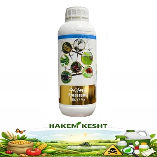 پروپارژیت (امایت) بیستون 1 لیتری