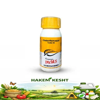 کلرفناپیر کانکورر