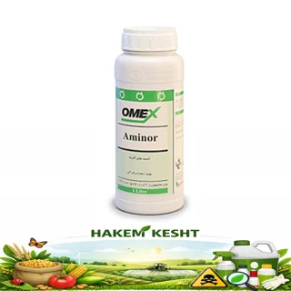 آمینور امکس 1 لیتری