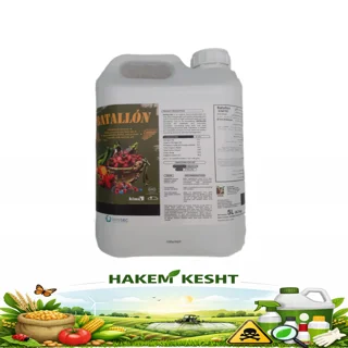 باتالون 5 لیتری همیاردشت