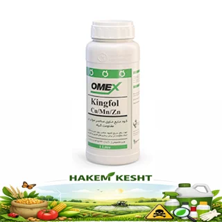 کینگفول مس روی منگنز امکس 1 لیتری