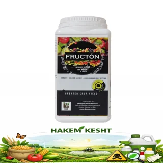 فراکتون 1 کیلویی