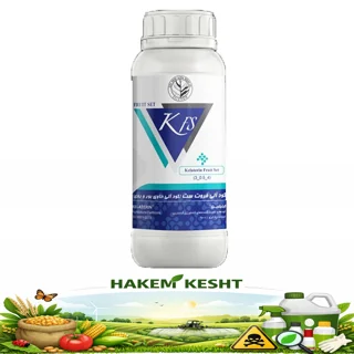 فروت ست (کود آلی روی و بور) 1 لیتری