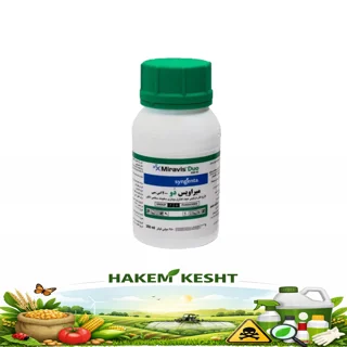 میراویس دو سینجنتا