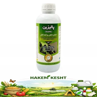 پالیزین 1 لیتری