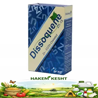 دیسکوئین روی