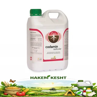 کدامین رادیکولار 5 لیتری