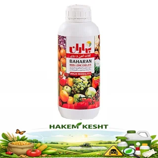 کلات آهن و روی 1 لیتری بهاران