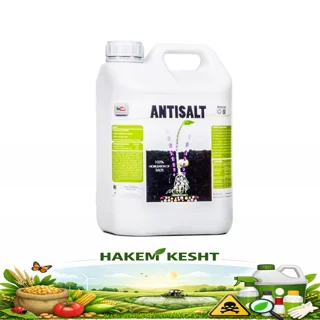 آنتی سالت (ضد شوری خاک)