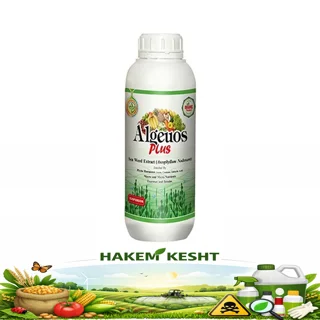 آلجیوس پلاس