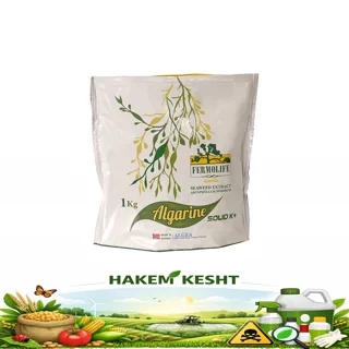 آلگارین جلبک پودری 1 کیلویی